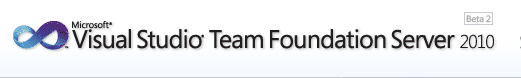 Microsoft Team Foundation Server 2010 Install - Options Page